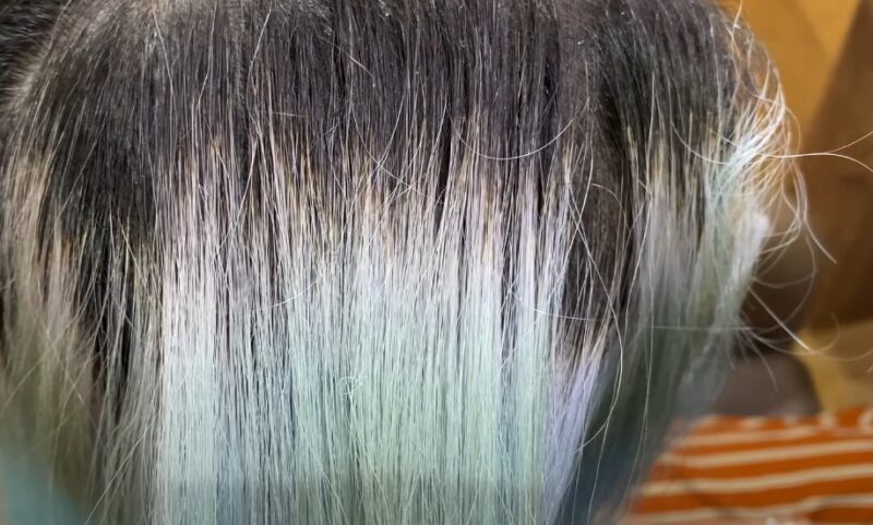 Close up of a girl's green-ish hair